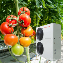 Commercial tomato pepper  plants greenhouse air to water heat pump heating system